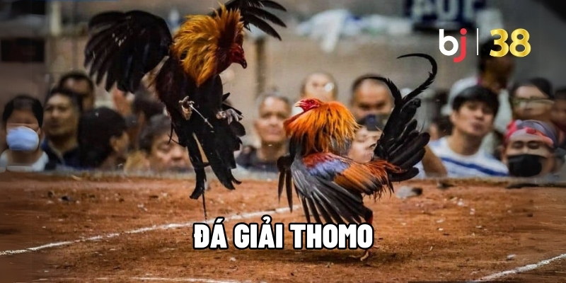 Đá giải Thomo